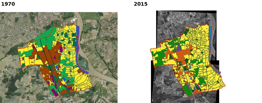 Cadaujac, les arbres de 1970 à 2015 : deux photos aériennes, quarante-cinq ans d'écart.